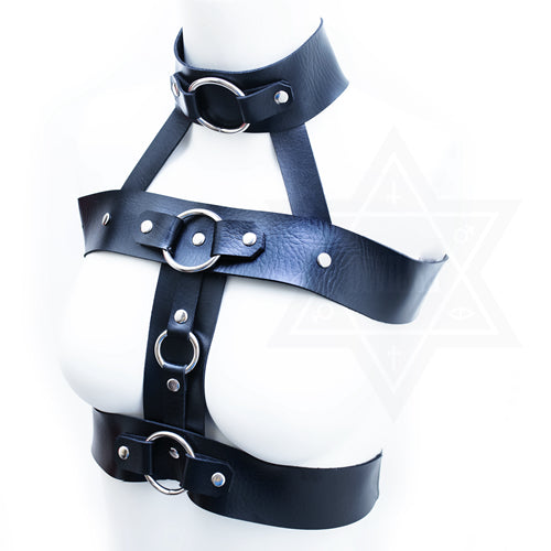 Evilness harness