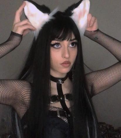 Wild life harness