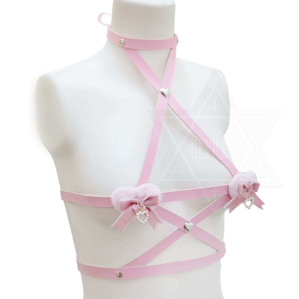 Destiny harness