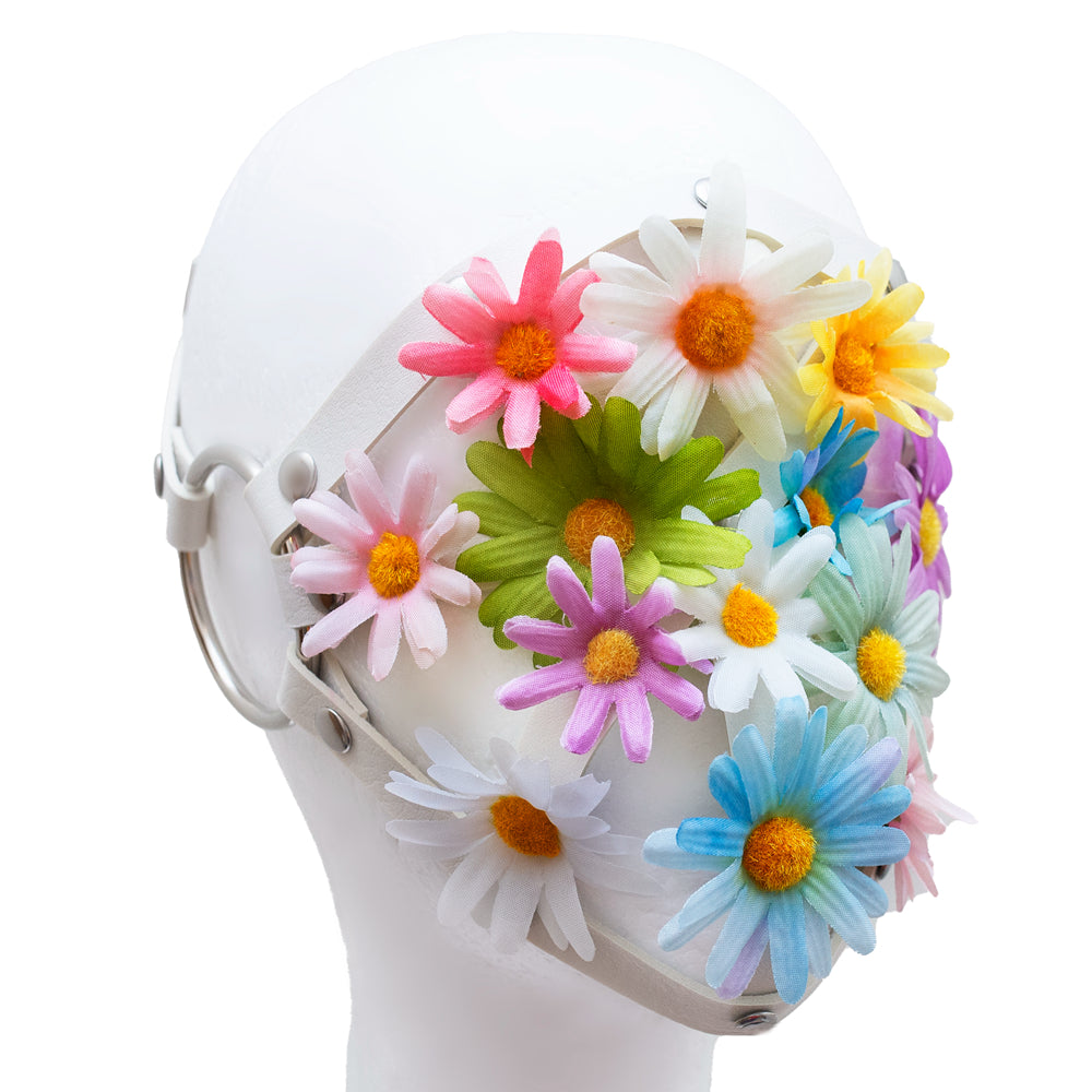 secret admirer face harness