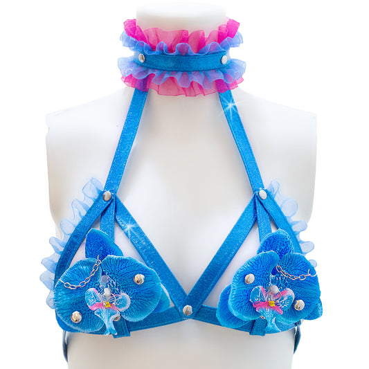 Takanenohana harness