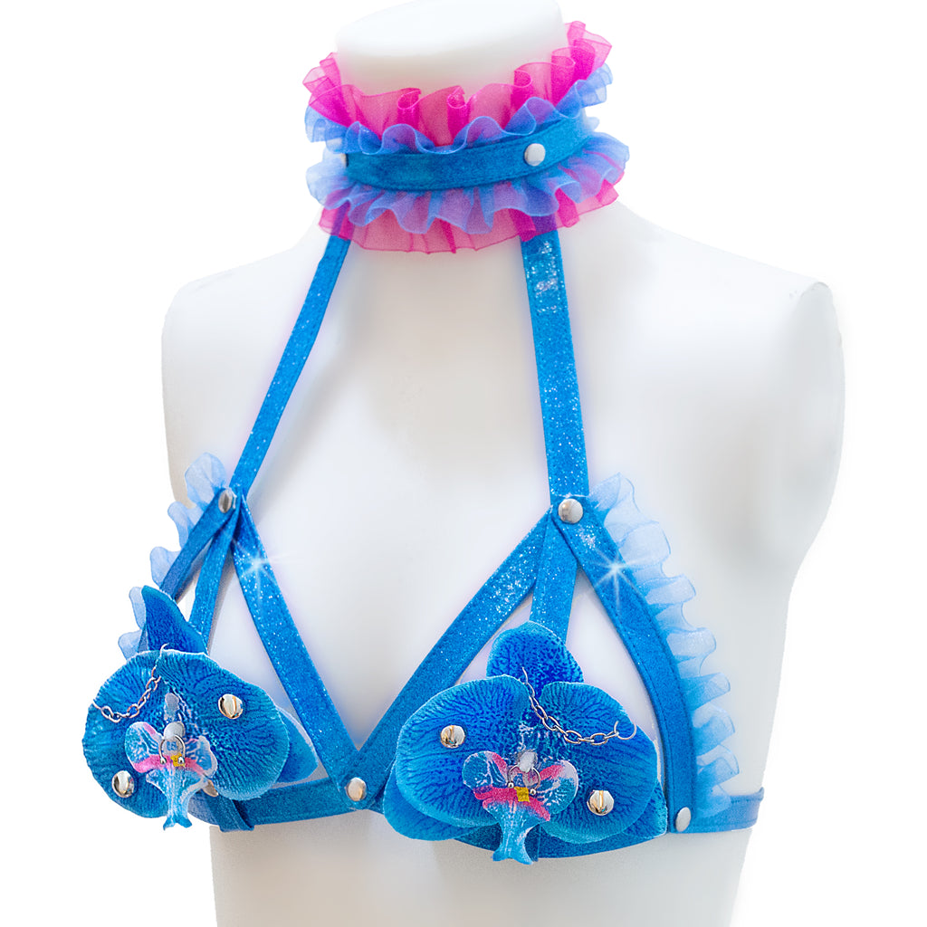 Takanenohana harness