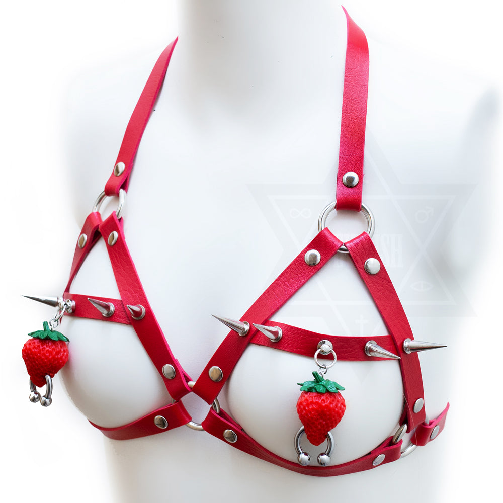 Cute but tough harness