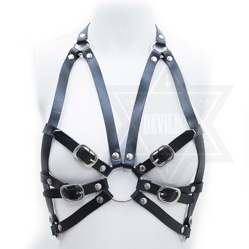 Radiation harness