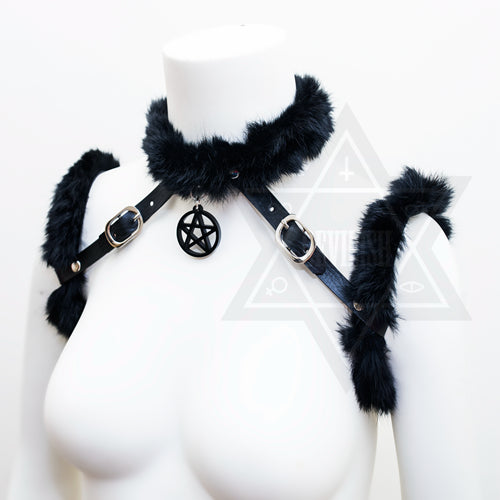 Black kitty harness