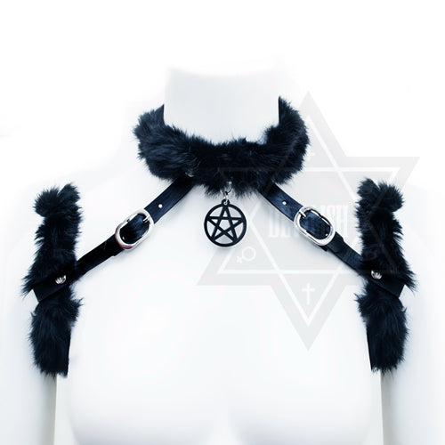 Black kitty harness