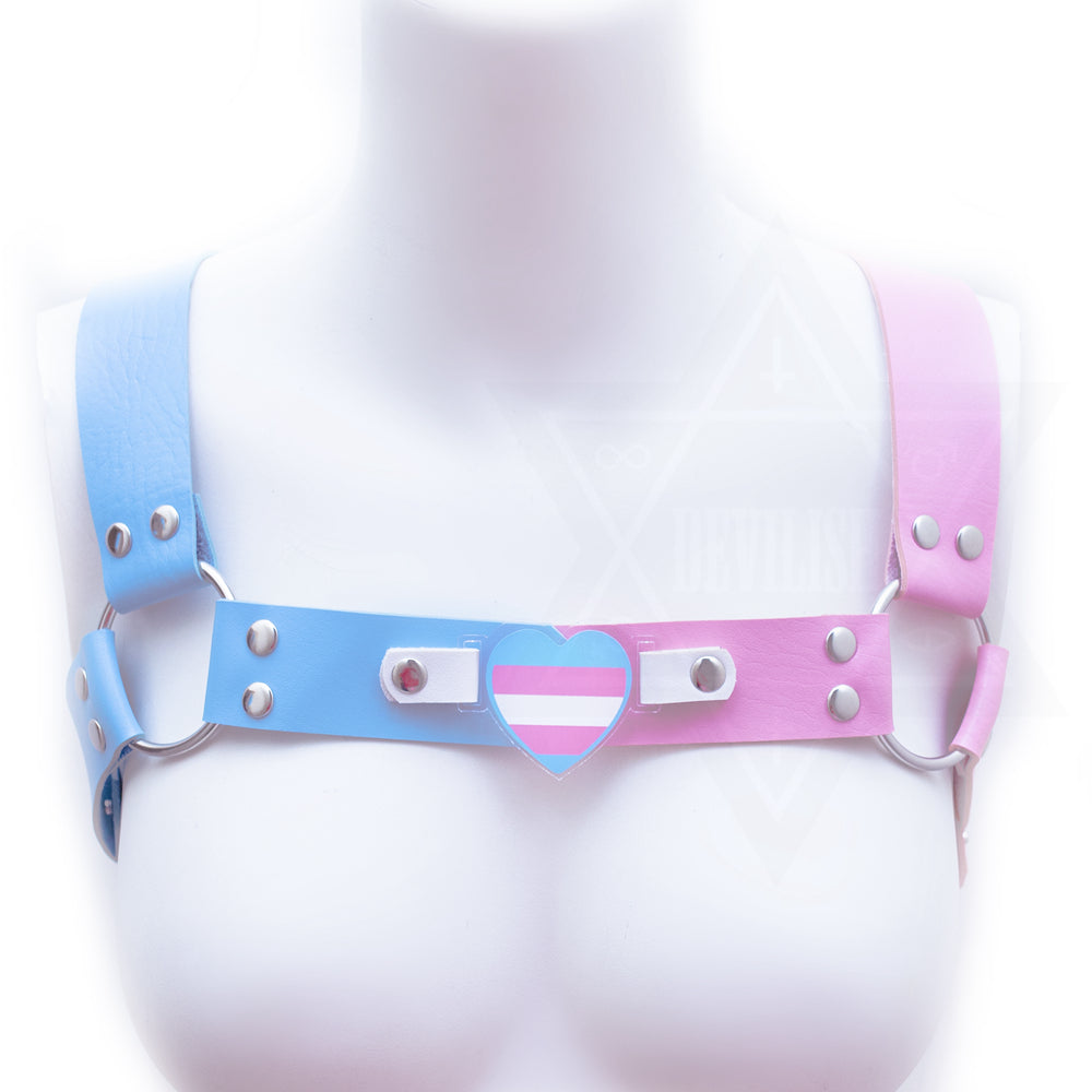 Transgender love harness