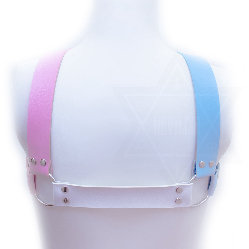 Transgender love harness