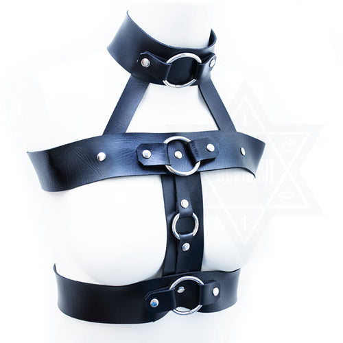 Evilness harness