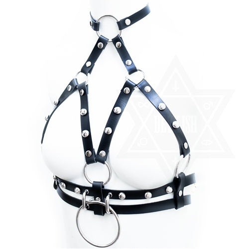 Hellbound harness