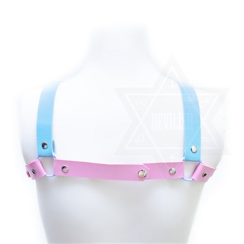 Puppy love harness