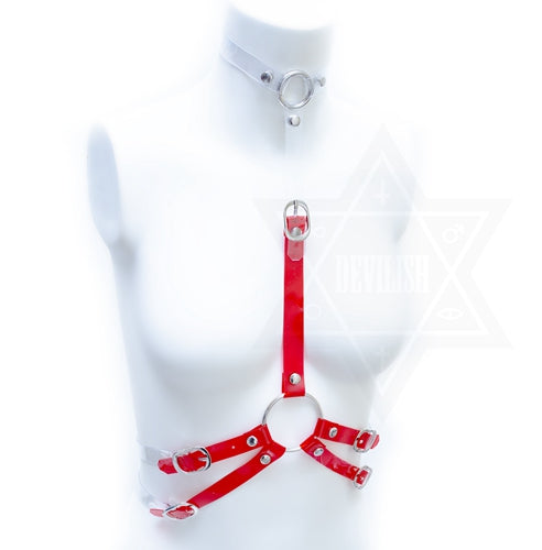 Blood flows harness