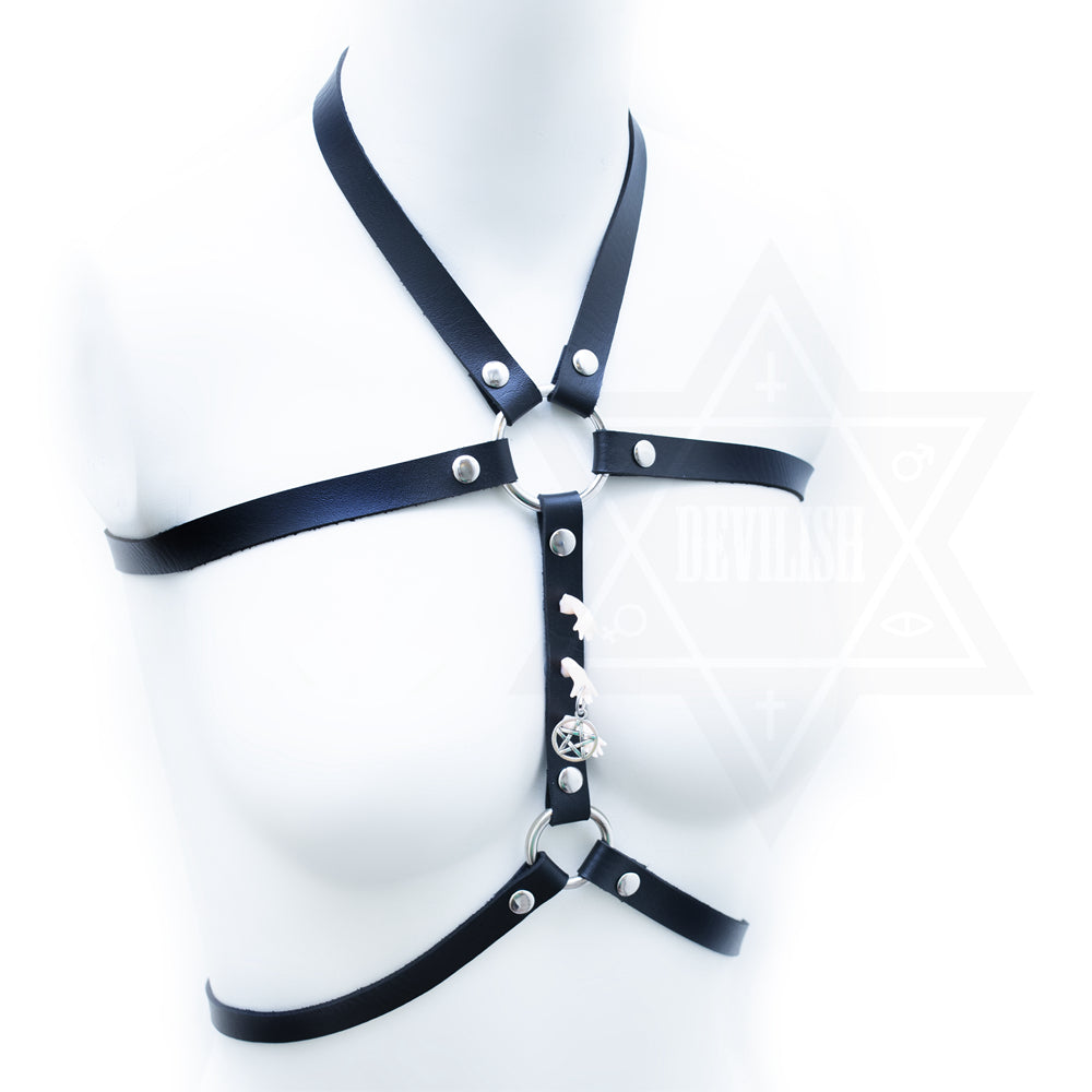 Dark moment harness