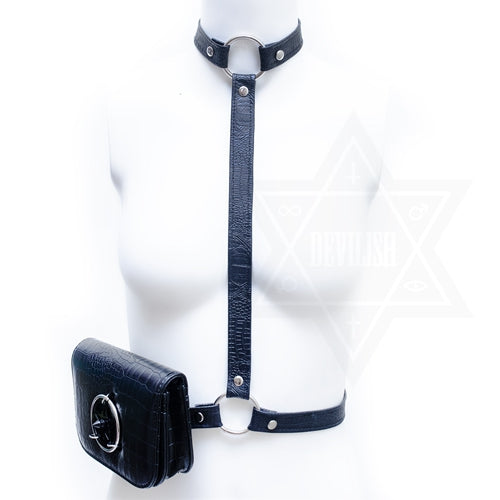 Shadow pouch harness