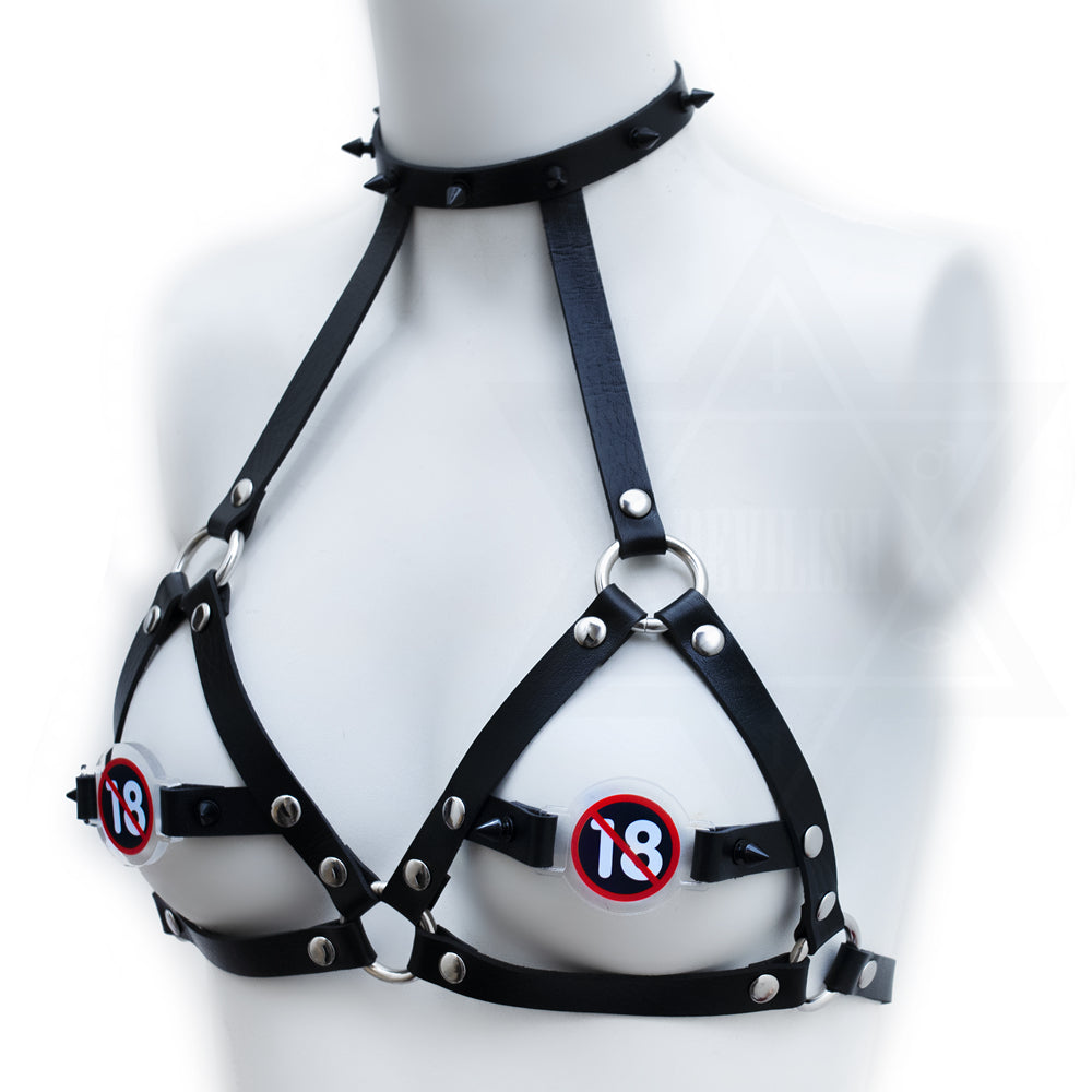 WARNING harness