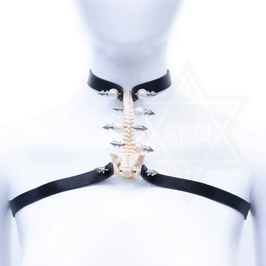 Bone collection  harness