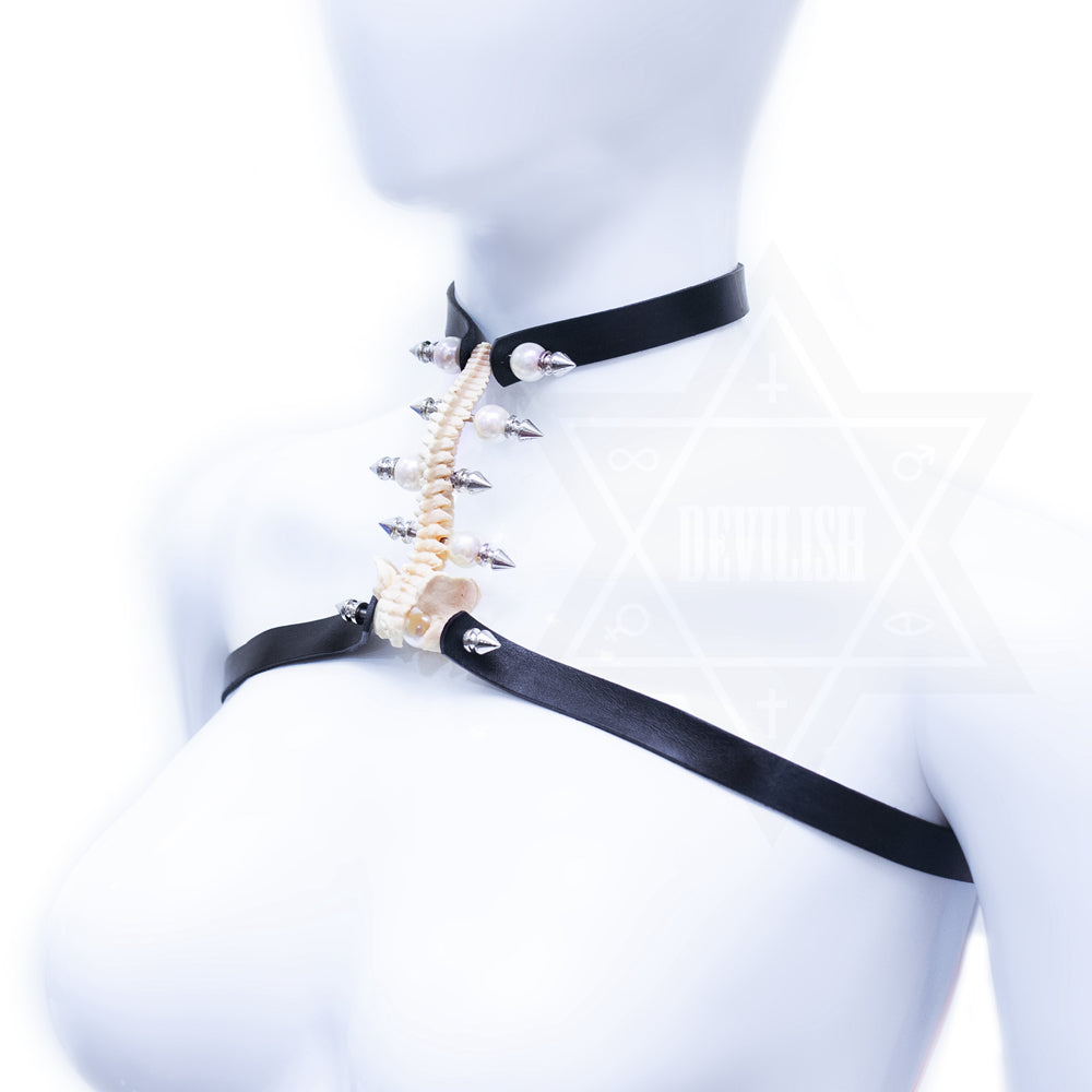 Bone collection  harness