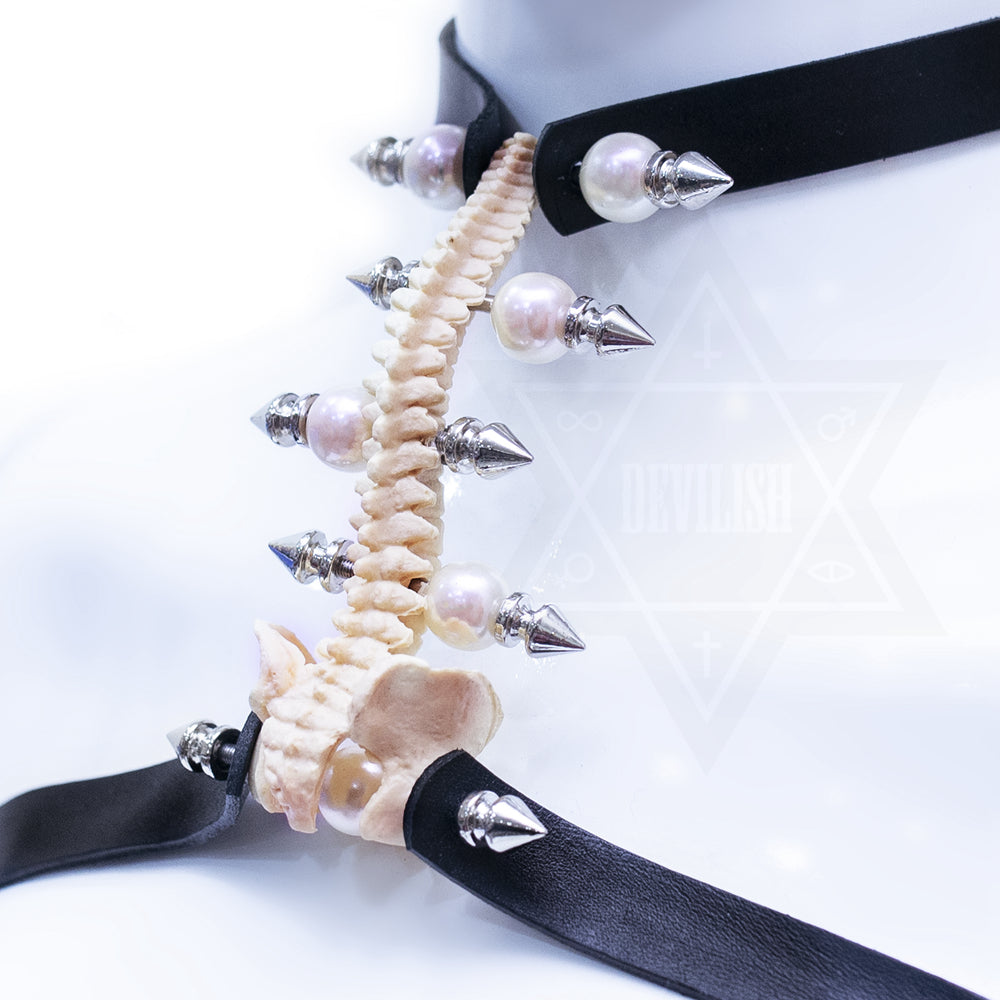 Bone collection  harness