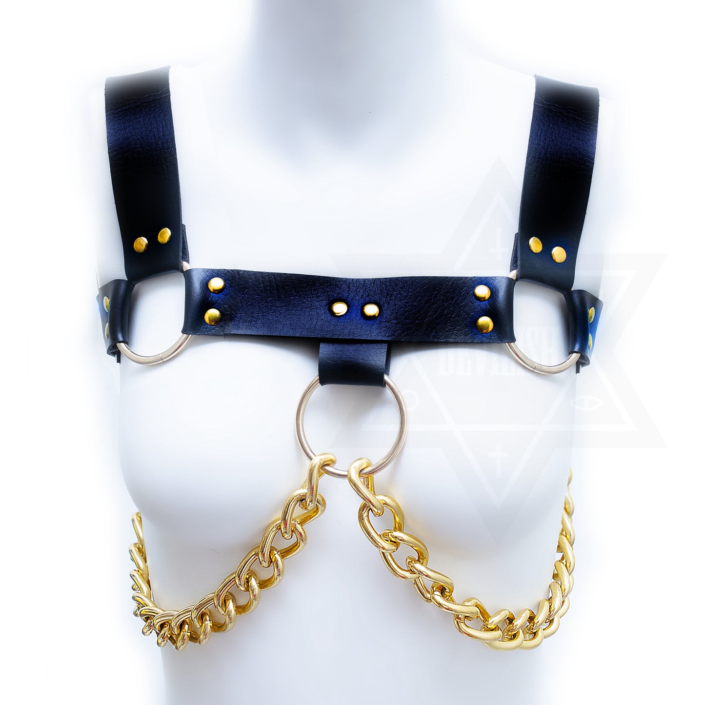 Sinner harness