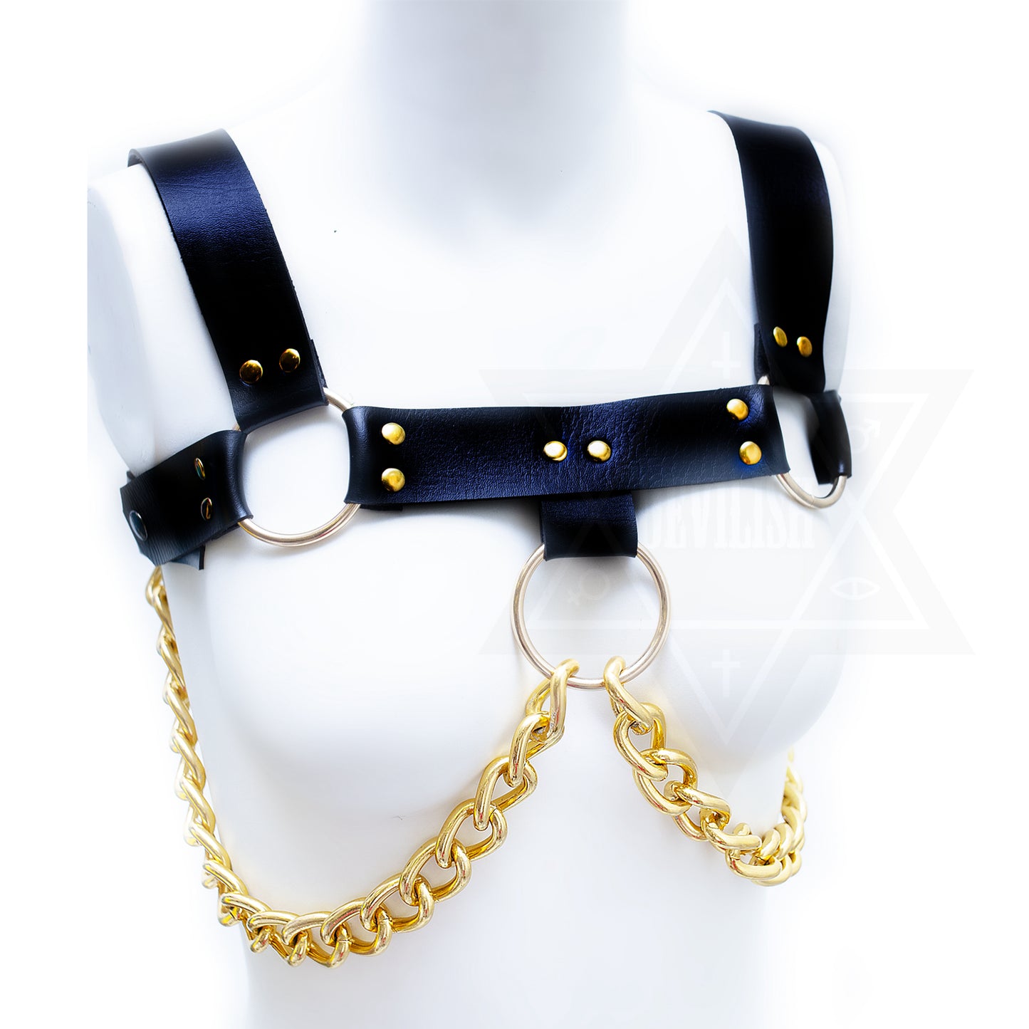 Sinner harness