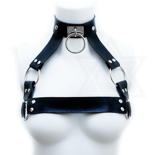 Darkened soul harness