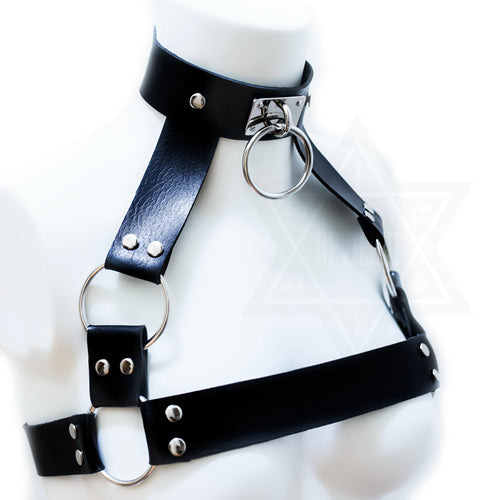 Darkened soul harness