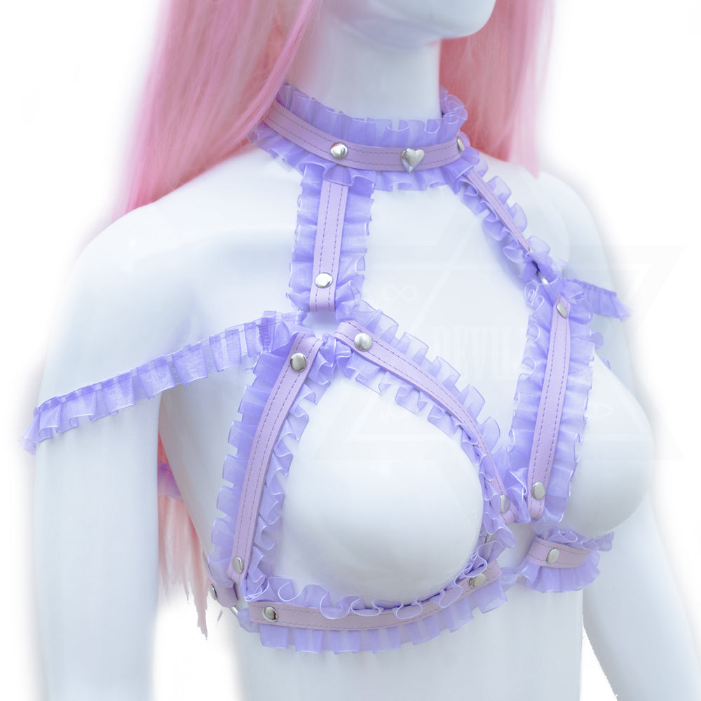 Beautiful dreamer  harness