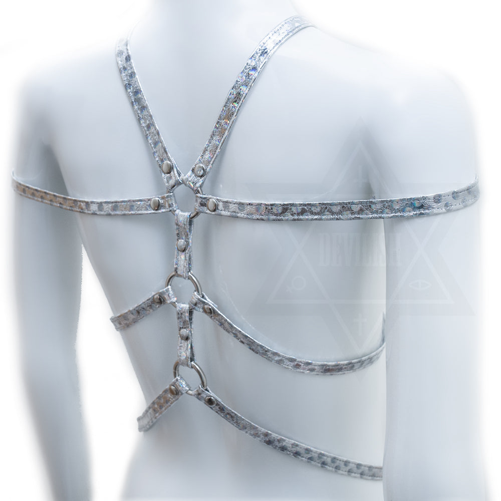 Star dust harness