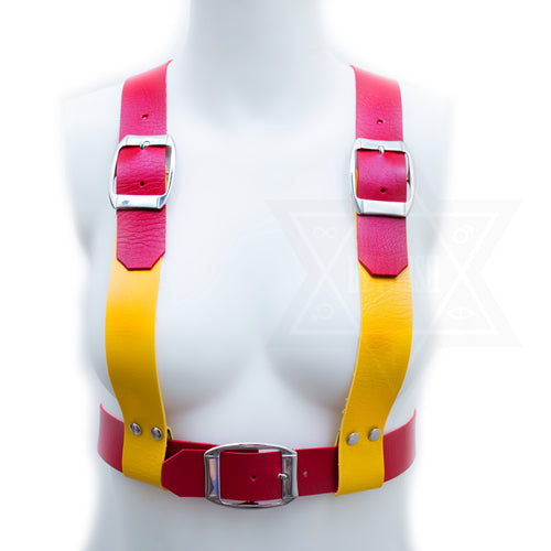 Mustard and ketchup harness