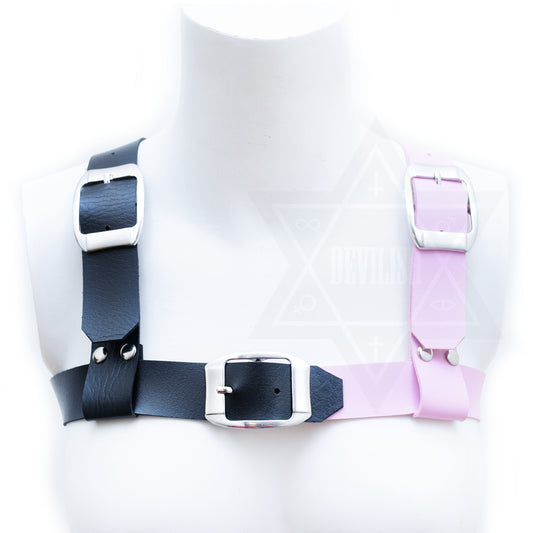 Two sided heavy leather harness