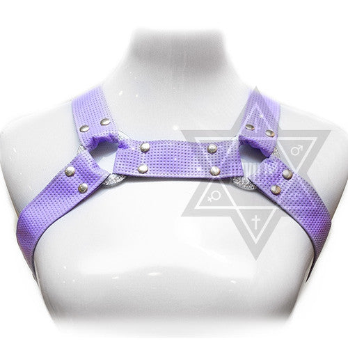 Fairy dust harness