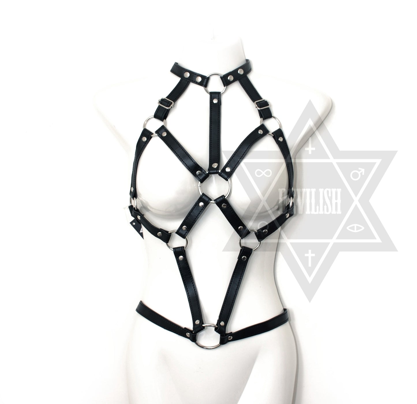 Spider web harness