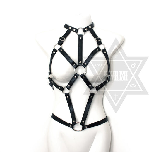 Spider web harness